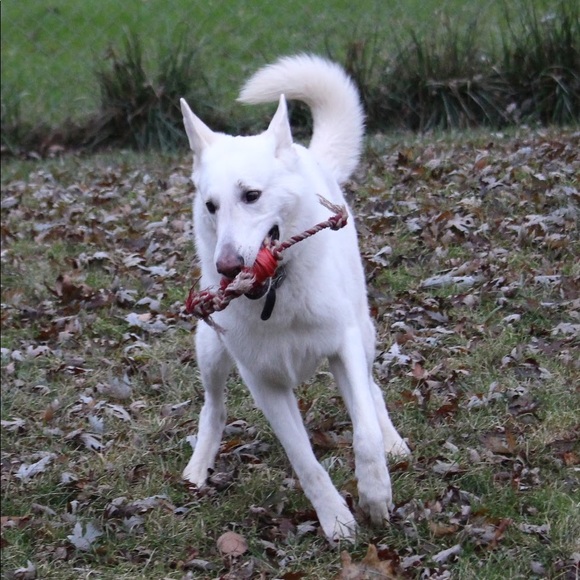 Meet Your Posher! - Picture 3 of 5